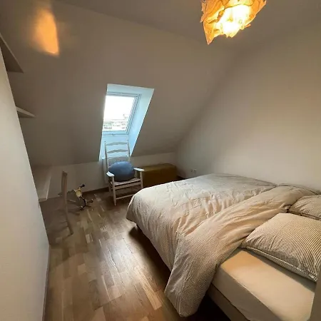 Duplex Spacieux Et Lumineux Au Coeur De