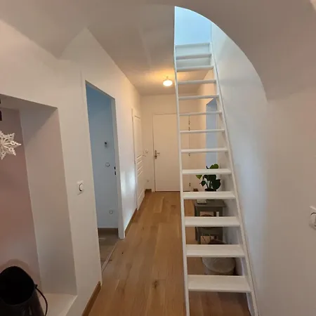 Duplex Spacieux Et Lumineux Au Coeur De