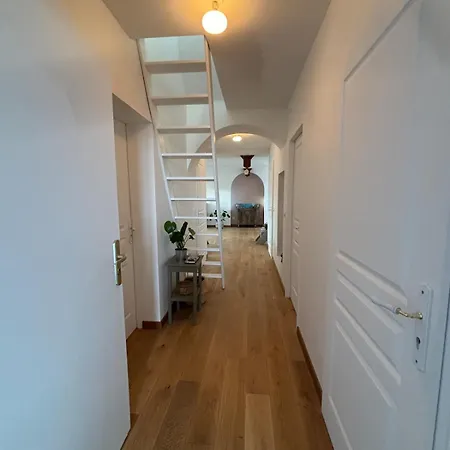 Duplex Spacieux Et Lumineux Au Coeur De