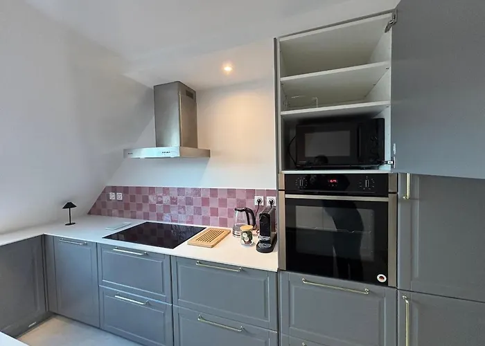 Duplex Spacieux Et Lumineux Au Coeur De