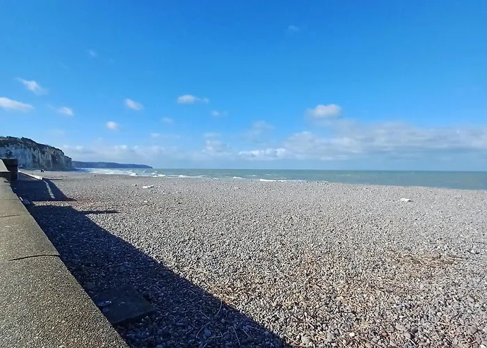 Duplex Spacieux Et Lumineux Au Coeur De * Dieppe